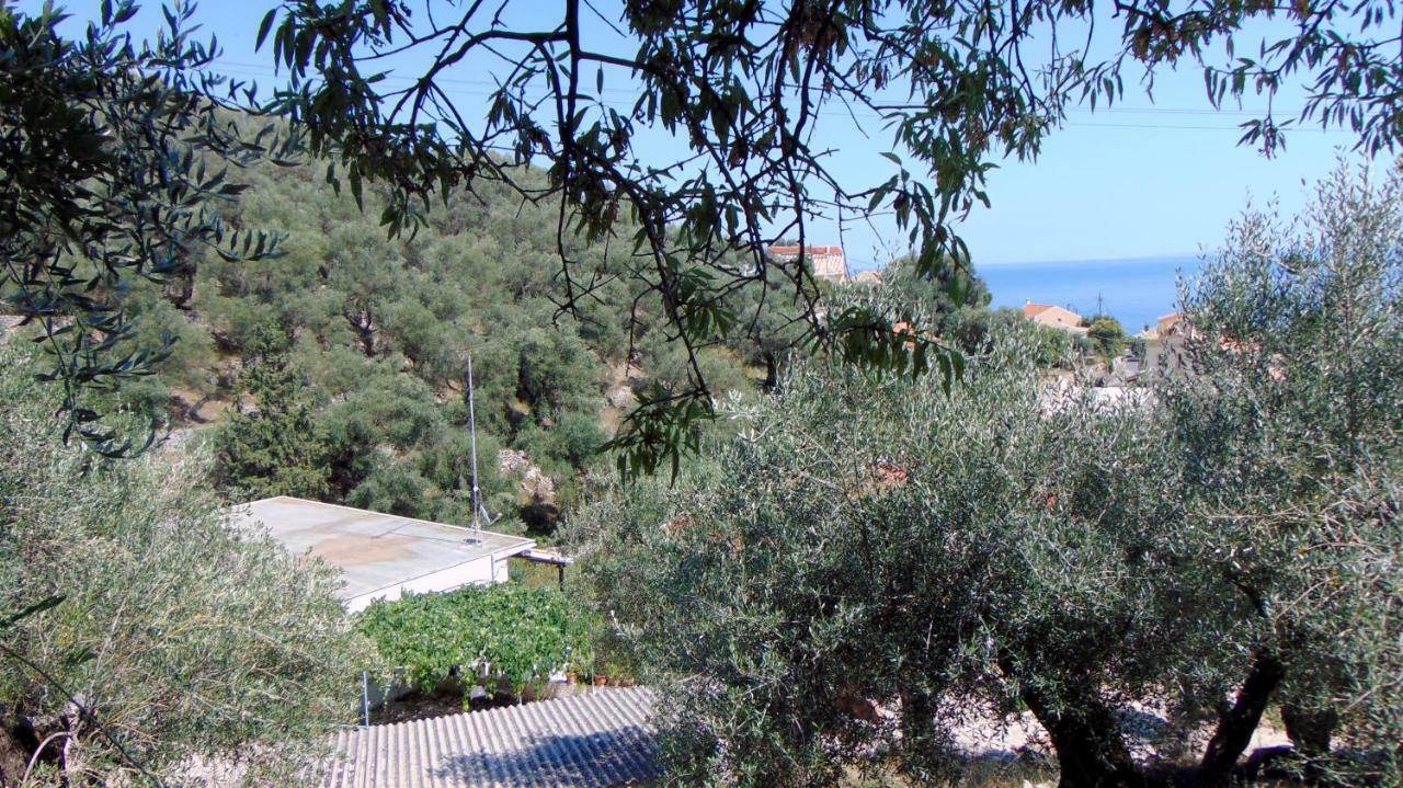 Holiday home Spiros & Dimitris View House Nisaki (Corfu)